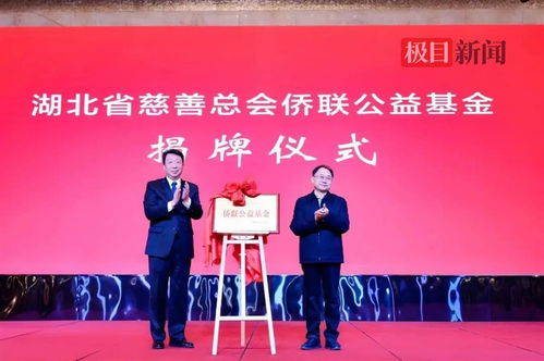 筹得首批百万余元善款 湖北 侨爱之夜 慈善晚宴活动在武汉举行