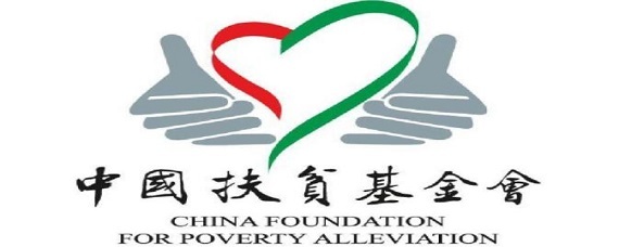 中国著名ngo组织有哪些